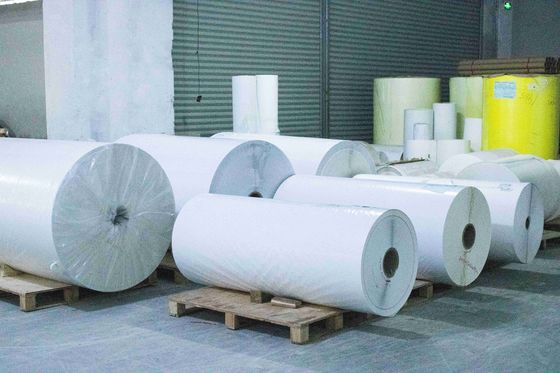 Doorzichtige BOPP-rollabelmaterialen Schramvast Acryllijm