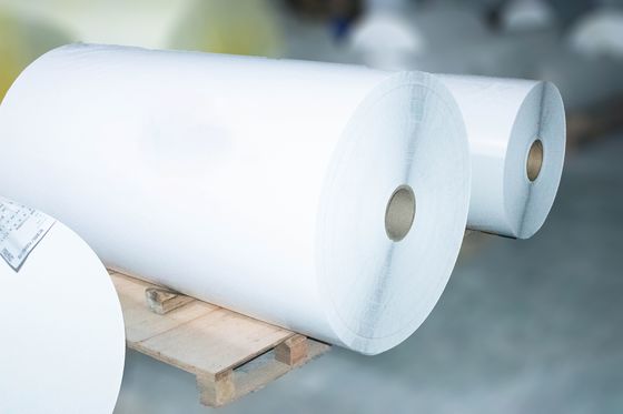 Zelfklevend thermisch etiket Jumbo Roll, Kleverig Papier 54u Oppervlakdikte