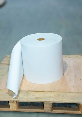 Polar Beauty Jumbo Printing Paper Roll Acrylic Glue Thermal Transfer